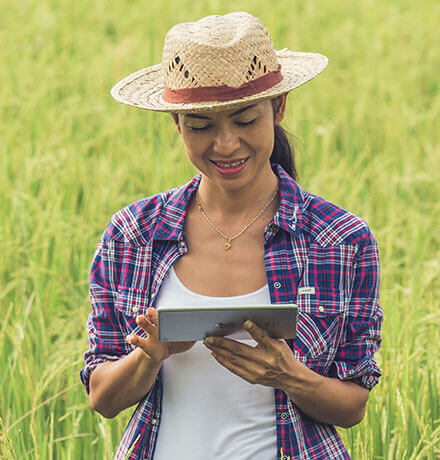 mudukatuwa Oil Mils coconut oil production