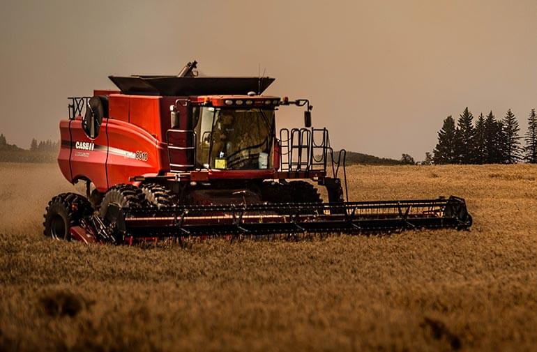 Supplying Pure Coconut Oil to Retailers and Wholesalers